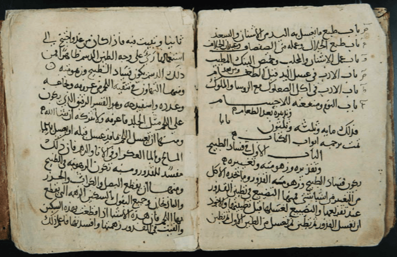 Kitab al-Tabikh