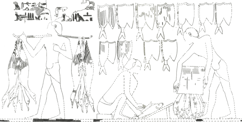 The tomb of Rekh-mi-Rē at Thebes