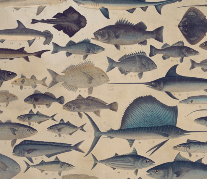 絵画 縦長 爬虫類 魚 太陽 エジプト灼熱 ワイヤーアート ワイヤークラフト 猫とカミツレのリース