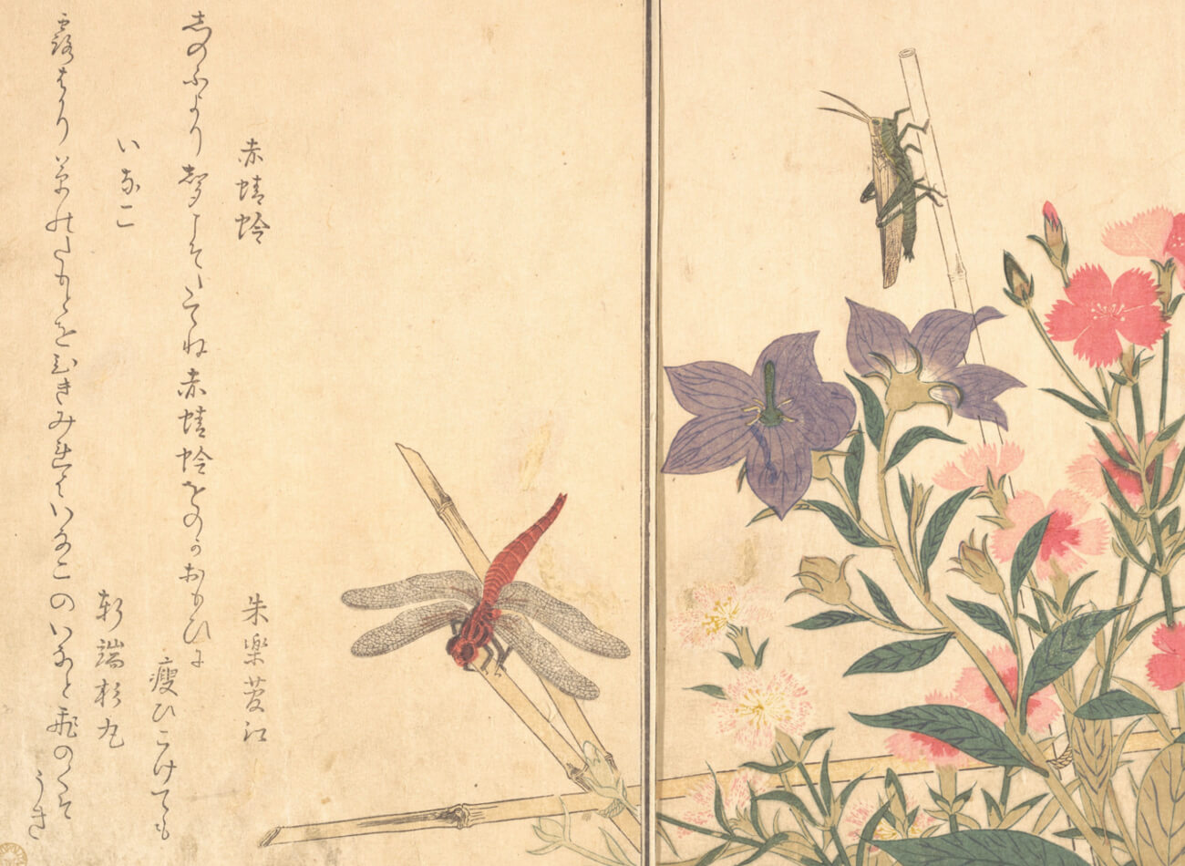 第7章 | 美味求真：1925年刊、木下謙次郎が食文化について論じた